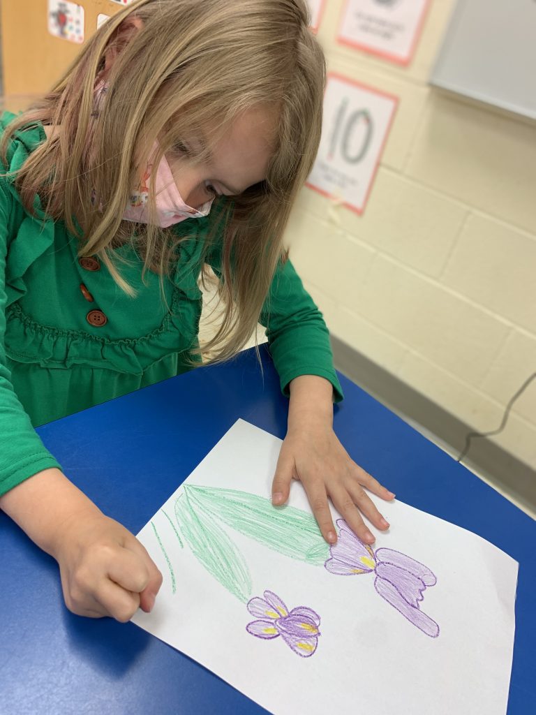 Student drawing picture of purple iris.